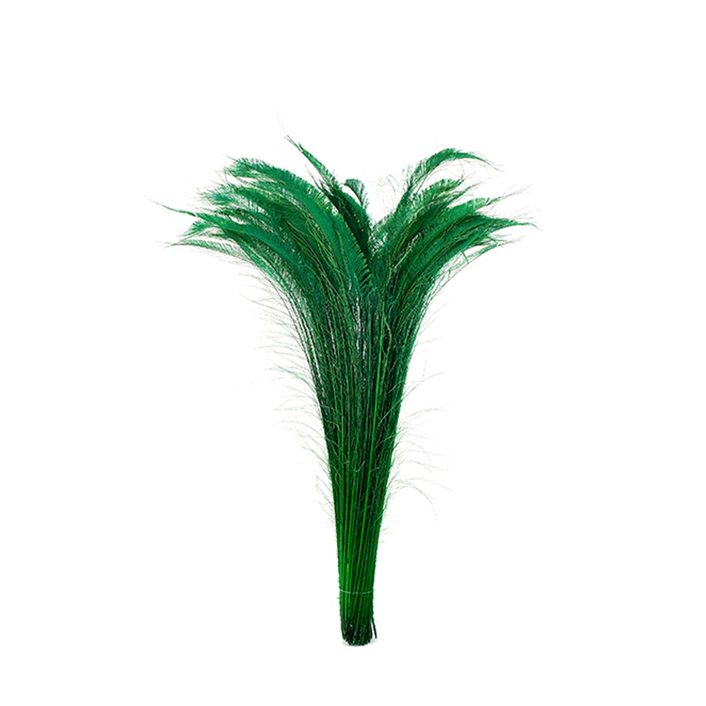 Zucker Feather Products Peacock Swords Bleach Dyed - Kelly